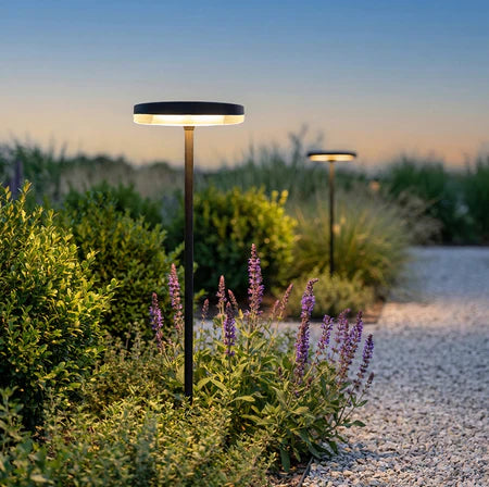 Landscape Lighting