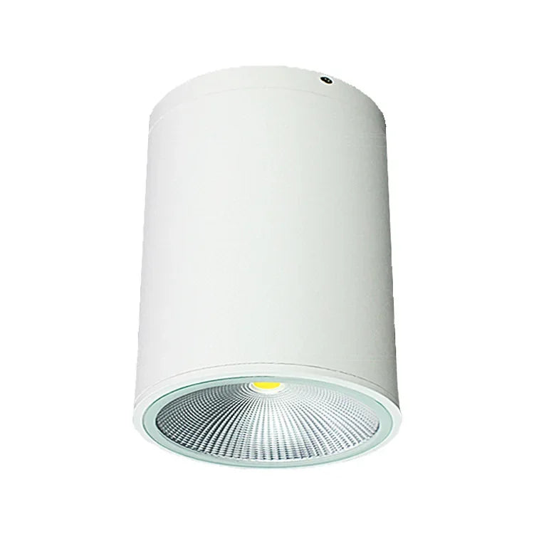 Waterproof Downlight – Surface Mounted