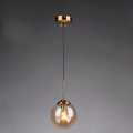 Amber pendant light with gold fixture and clear glass shade on a dark background
